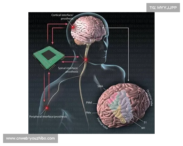 脑机接口技术探索沉浸控制,革新交互方式